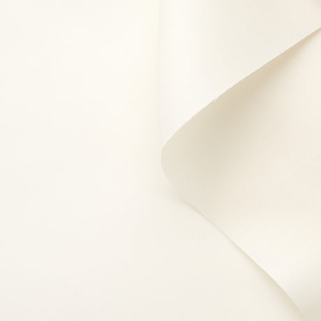 t22a01715 | Gazar de Soie