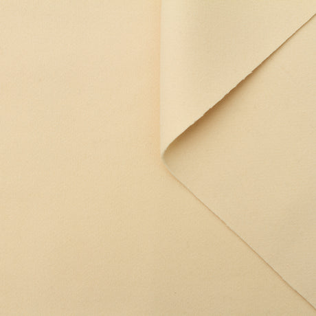 t22a01731 | Drap de Laine & Cachemire Double Face