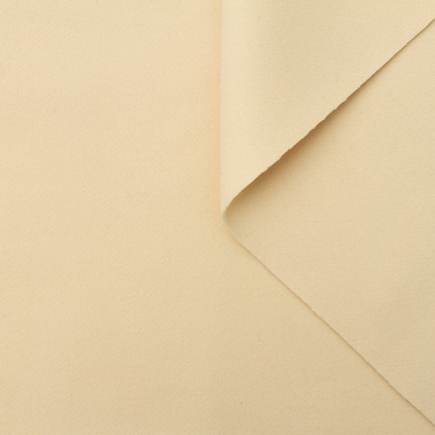 t22a01731 | Drap de Laine & Cachemire Double Face