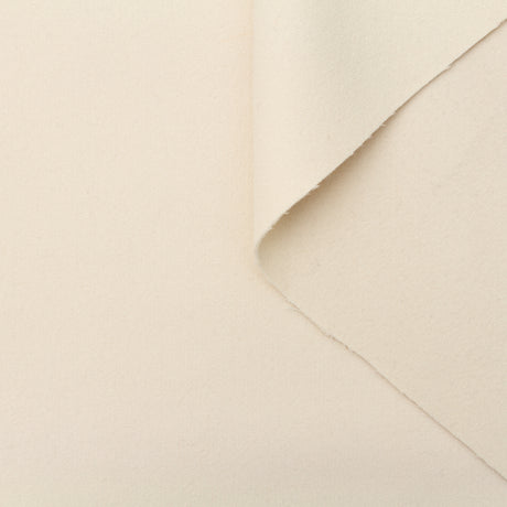 t22a01731 | Drap de Laine & Cachemire Double Face