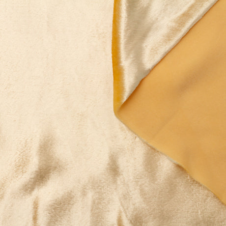 T22A01758 | Liquid Viscose & Silk Velvet