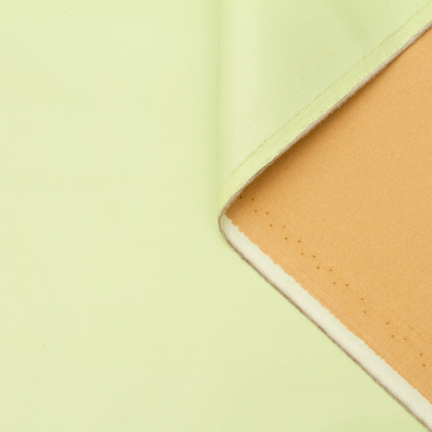 T22A01766 | Fake Calfskin Leather