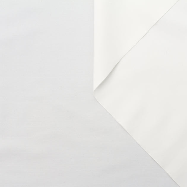 T22A01773 | Light Scuba