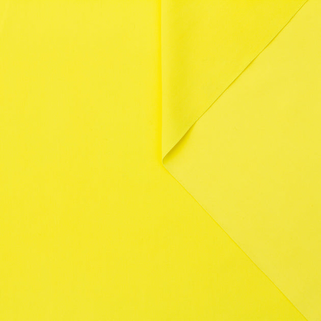 T22A01773 | Light Scuba