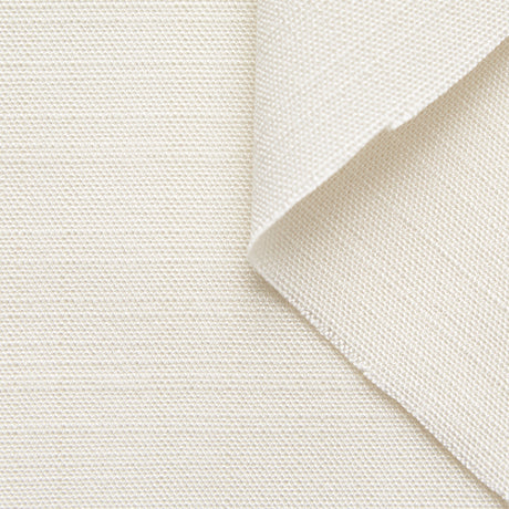 T22A01808 | Viscose & Silk Canvas