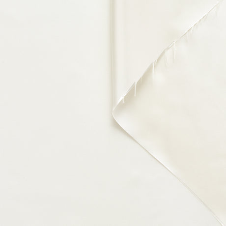 T22B03118 | Shiny Viscose Cupro Lining