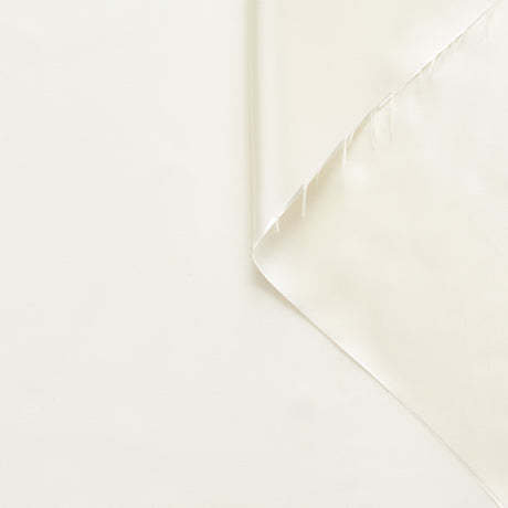 T22B03118 | Shiny Viscose Cupro Lining