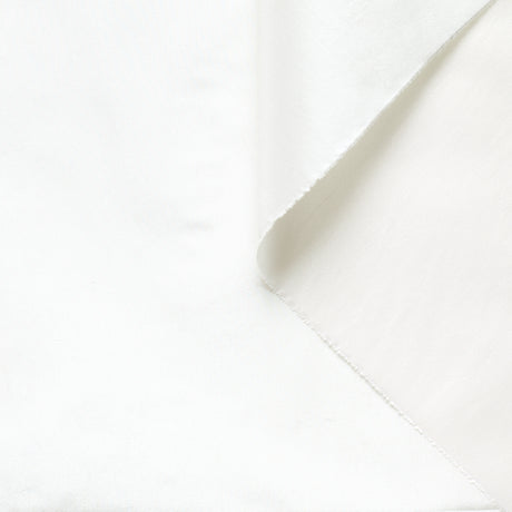 T22B03120 | Silk Taffeta