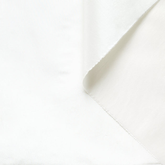 T22B03120 | Silk Taffeta