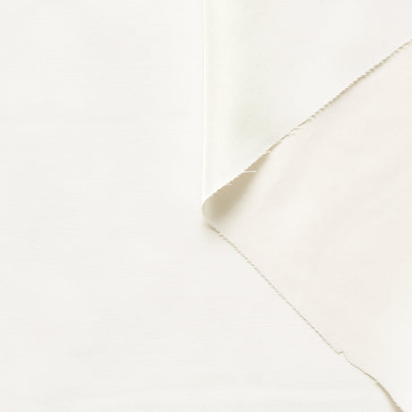 T22B03133 | Silk Habotai
