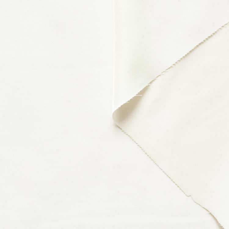 T22B03133 | Silk Habotai - view 1