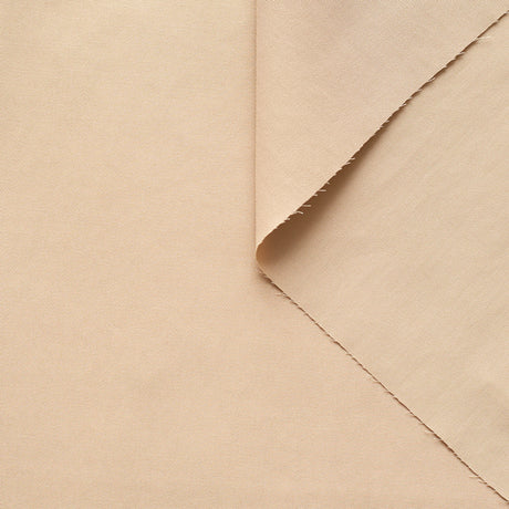 t22b03169 | Twill de Coton