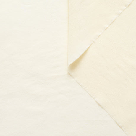 T22B03195 | Washed Silk Crepe de Chine