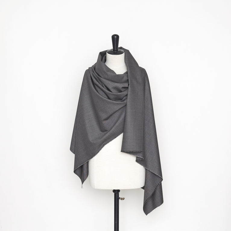 T22B03196 | Wool Fil à Fil - view 2