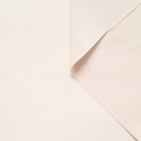 T22B03209 | Silk Crepe de Chine