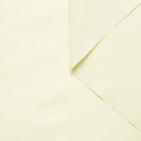 T22J00785 | Cotton Poplin