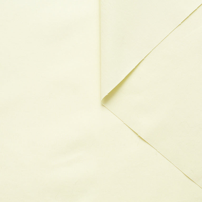T22J00785 | Cotton Poplin - view 1