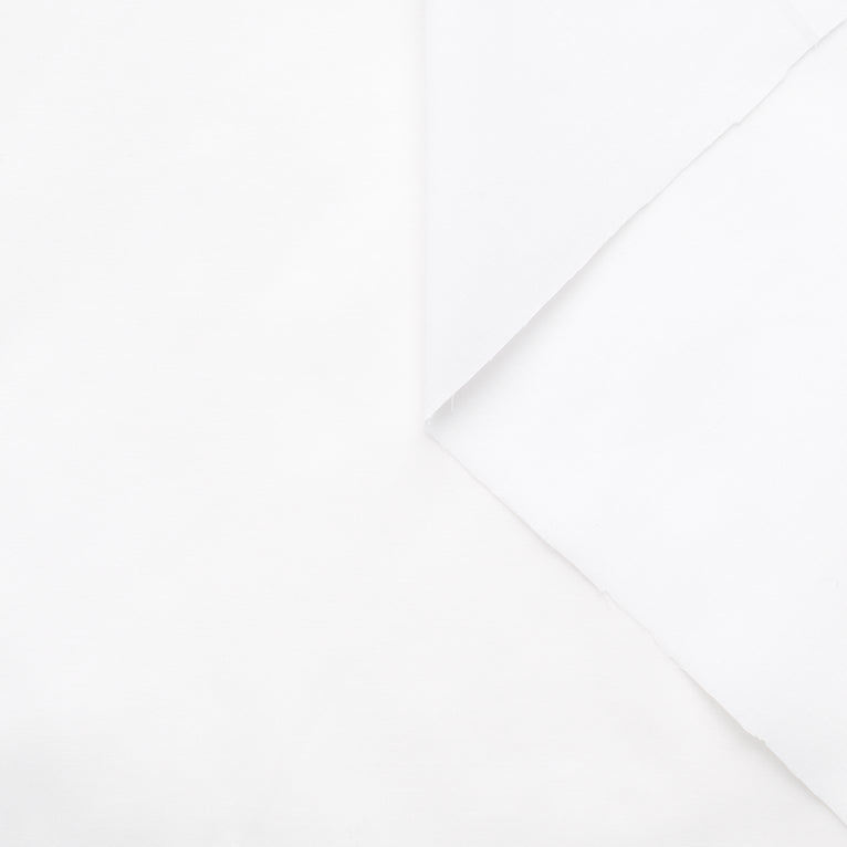T22L03418 | Stretch Cotton Batiste - view 1