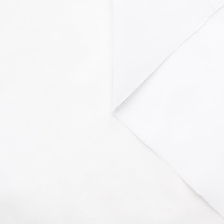 T22L03418 | Stretch Cotton Batiste - view 1