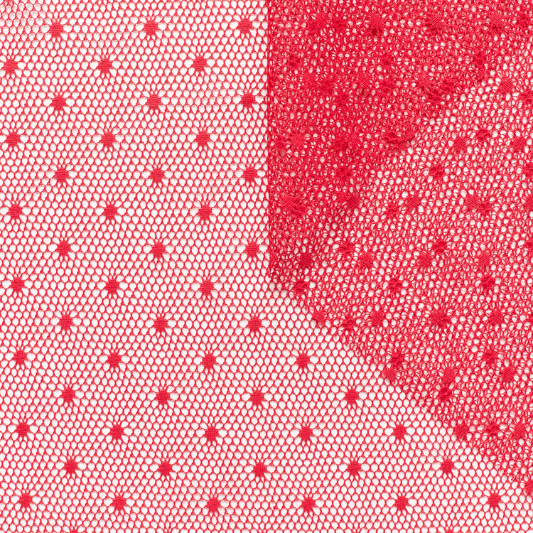 t22n01267 | Résille à Pois - vue 1