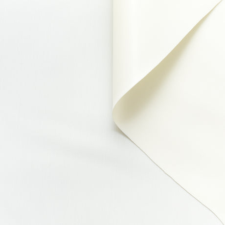 T22N01294 | Laminated Stretch Scuba