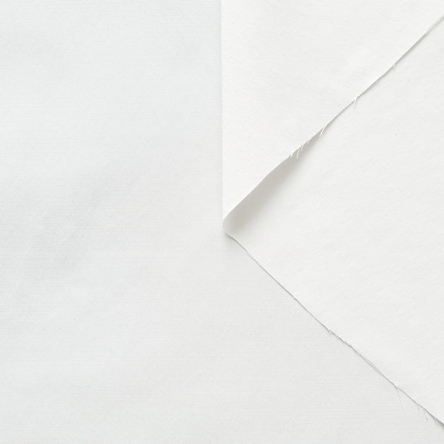T22O01236 | Light Faille