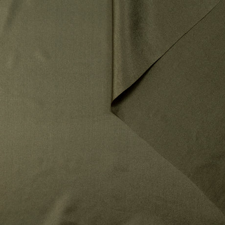 T22V03362 | Sheer Silk Pongee