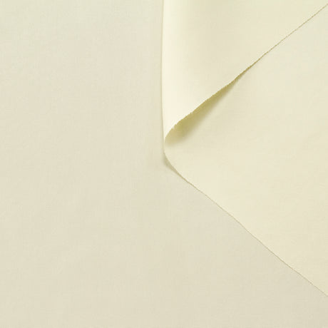 T22V03363 | Lustre Silk Drap