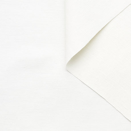 T22W03490 | WR Linen & Cotton Coated Canvas
