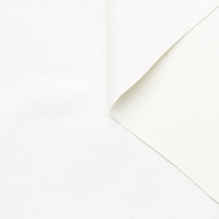 T22W03490 | WR Linen &amp; Cotton Coated Canvas - view 1