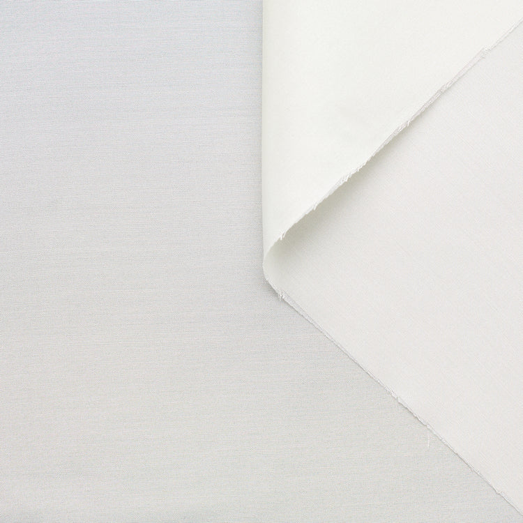 T22W03500 | Heavy Silk Pongee - view 1