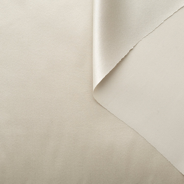T22W03571 | Silk Satin - view 1