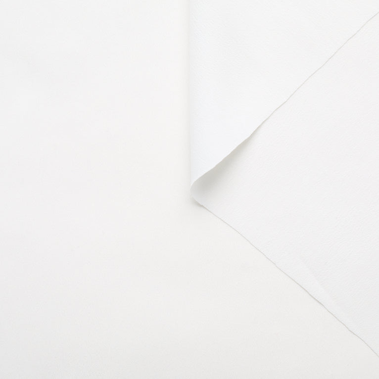 T22X03652 | Crepe de Chine - view 7