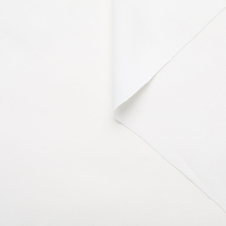 T22X03652 | Crepe de Chine - view 1