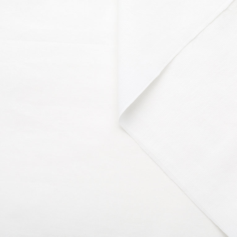 T22X03690 | Textured Micro Stripes Cotton Poplin - view 1