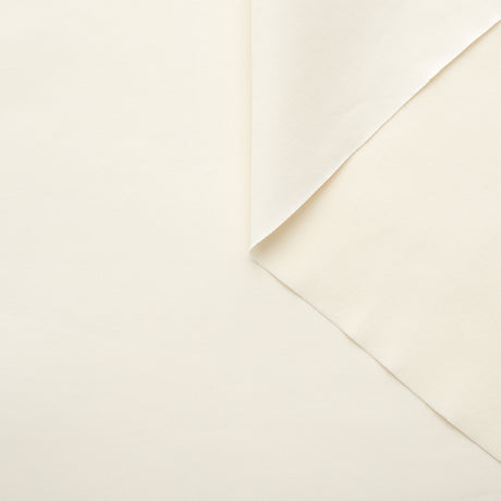 T22X03697 | Stretch Cotton Satin