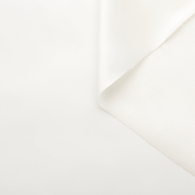 T22X03698 | Shiny Cupro Lining - view 1