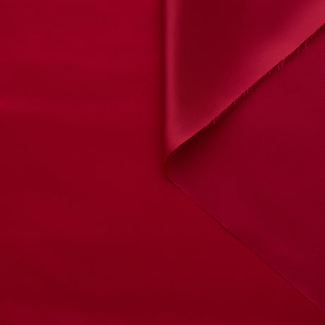 T22X03698 | Shiny Cupro Lining