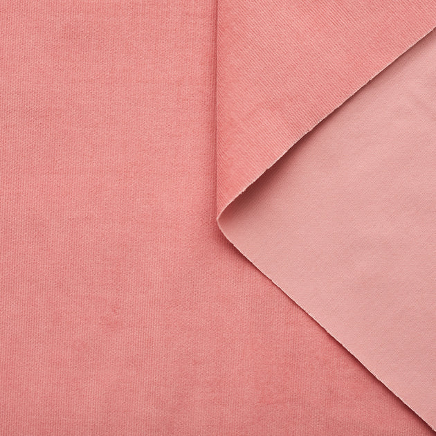 t22x03721 | Milleraies Stretch