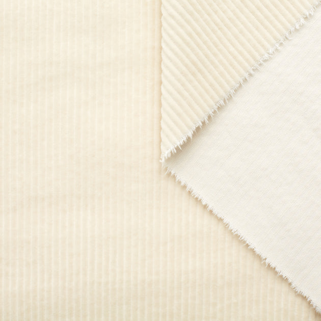 t22x03723 | Velours Corduroy de Coton