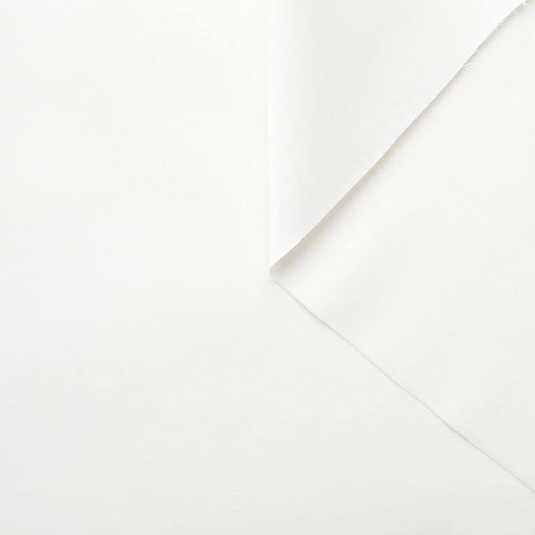 T22X03747 | Stretch Cotton Suiting - view 1