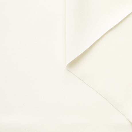 T23B04516 | Stretch Silk Cady