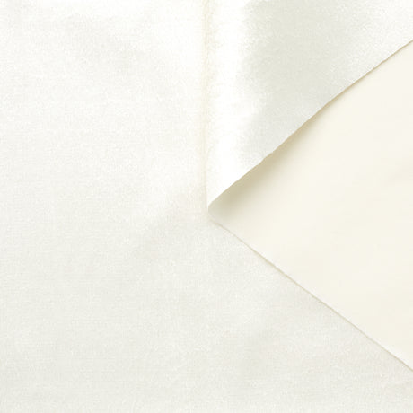 t23b04590 | Velours Viscose & Soie