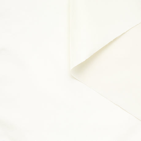 t23b04599 | Taffetas de Soie Lustré