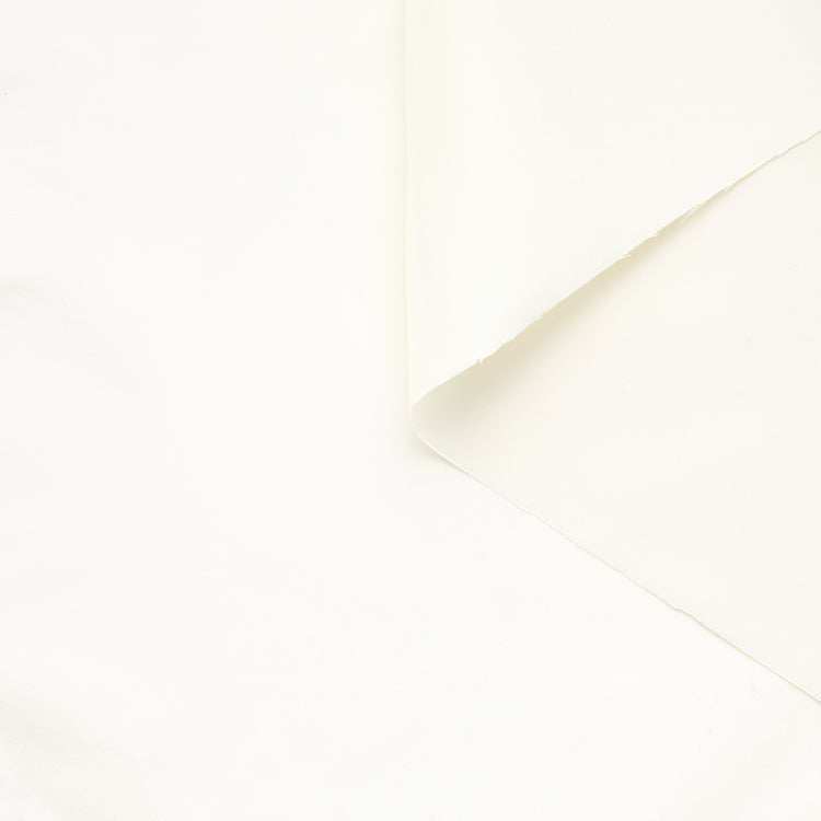 t23b04599 | Taffetas de Soie Lustré - vue 1