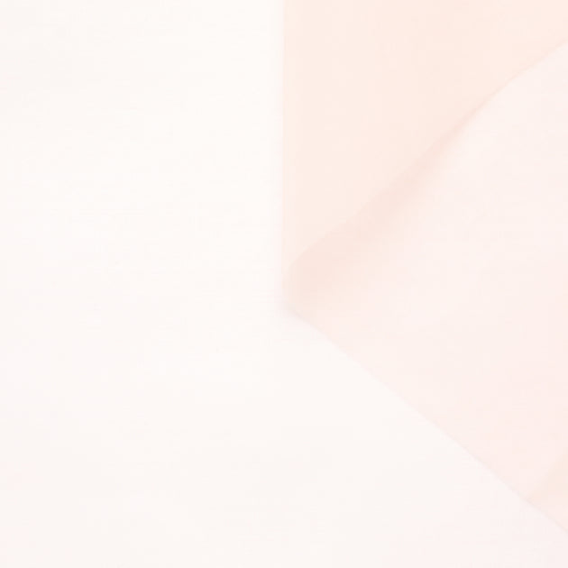 T23B04630 | Silk Organza