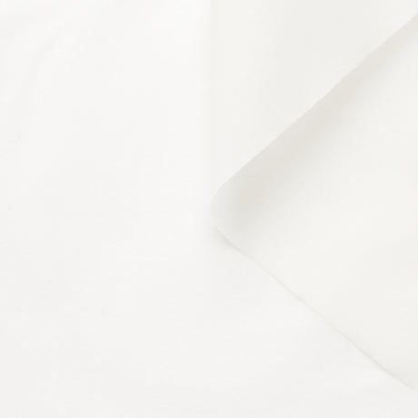 T23B04636 | Silk Organza Gauze