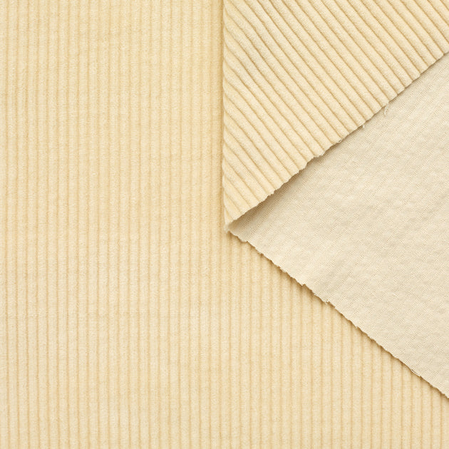 t23k04228 | Velours Large Corduroy en Coton