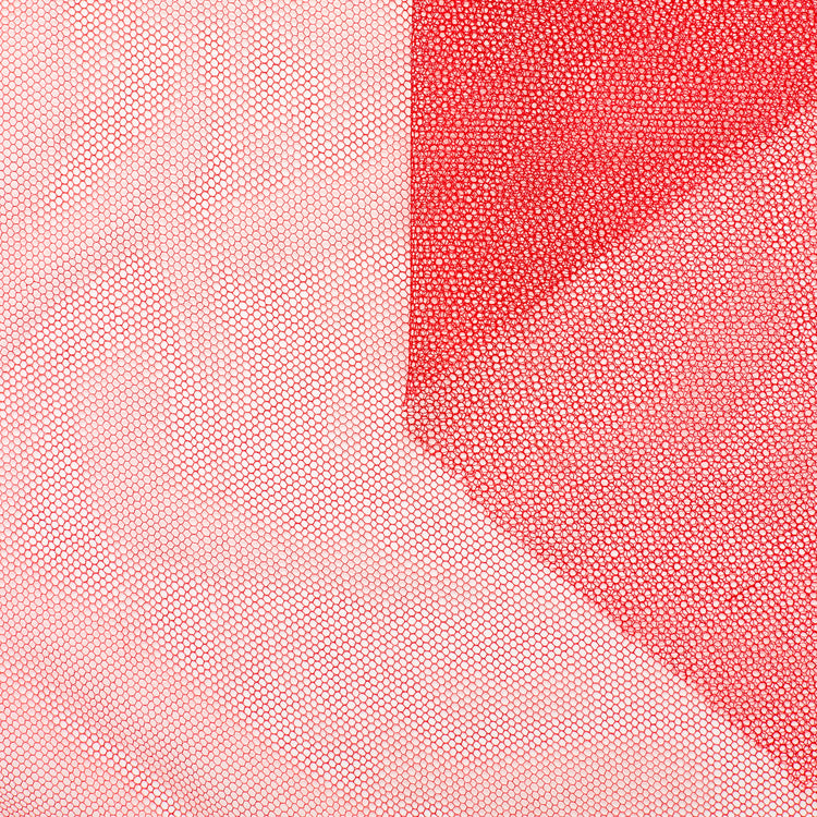 T23M04334 | Soft Silk Tulle - view 1