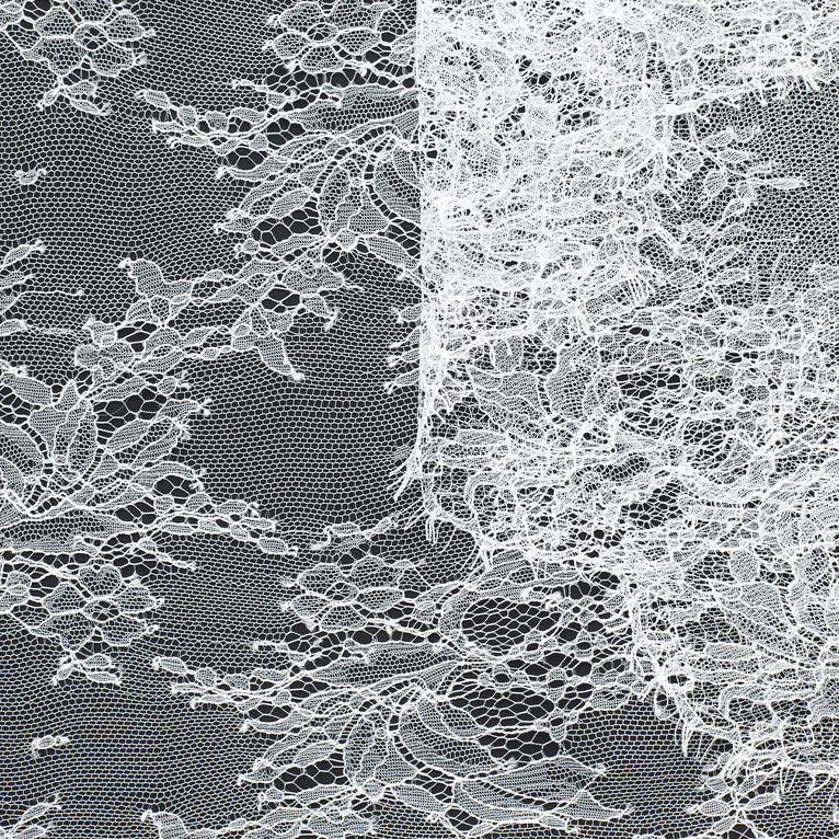 T23M04353 | Scalloped Floral Chantilly Lace - view 1